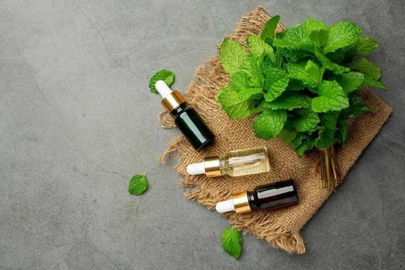 Ayurvedic Secrets for Long, Healthy Hair - Hairloom